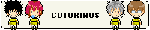 banner.gif
