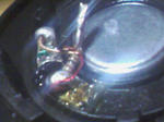 SA3A0239.JPG