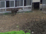 SA3A0243.JPG