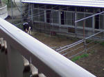SA3A0244.JPG