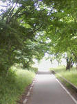 SA3A0260.JPG