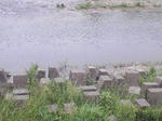 SA3A0263.JPG