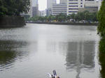 SA3A0296.JPG
