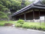 SA3A0305.JPG