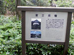 SA3A0317.JPG