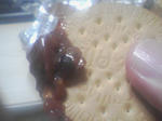 789092ab.jpeg