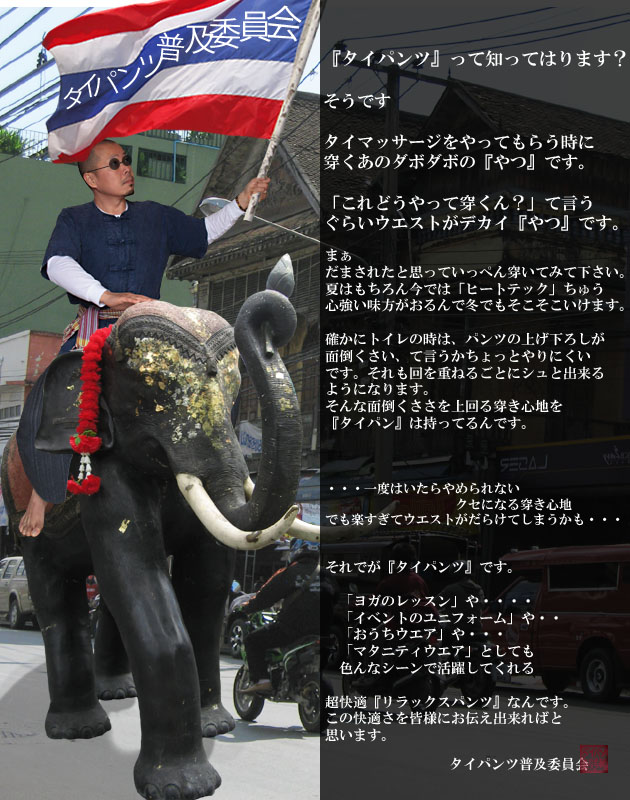 タイパンツとは
