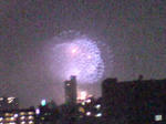 070804_2031~01.jpg