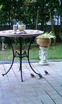 sparrow02.jpg