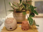 DSC00006.jpg