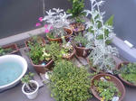 0MA333103.jpg