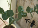 DSCF1044.JPG