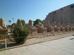P1000150.jpg