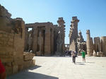 P1000206.jpg
