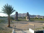 P1000256.jpg