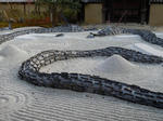 s-DSCN0585.jpg