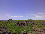 IMG_20120911_121808.jpg