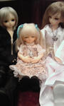 20100411-1.jpg