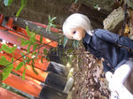 2010051848.JPG
