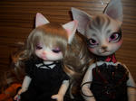 20101029-1.jpg