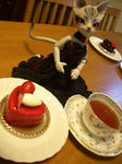 20101102-5.jpg