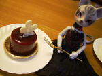 20101102-6.jpg