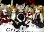 20101114-2.jpg