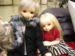 20101114-3.jpg