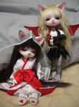 20101122-002.JPG