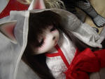 20101122-005.JPG
