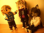 20110119-012.JPG