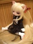 20110119-016.JPG