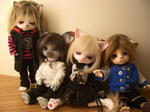 20110119-020.JPG