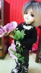 DSC_1181.JPG