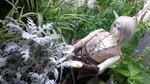 DSC_2208.JPG