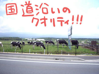 sizu004.jpg