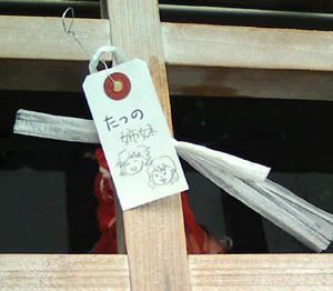 kinosaki3.jpg