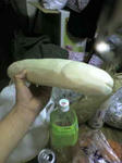 20061119000647.jpg