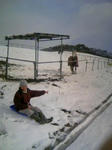 blogimage080101-02.JPG