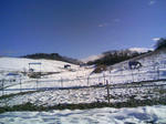 blog-aka080103-01.JPG