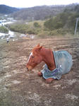 blogimage080303-02.JPG