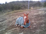 blogimage080303-03.JPG