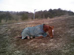 blogimage080303-04.JPG