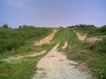 blogimage080803001.JPG