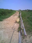 blogimage080803002.JPG