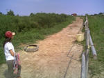 blogimage080803006.JPG