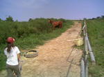 blogimage080803008.JPG