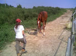 blogimage080803009.JPG