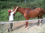 blogimage080803010.JPG