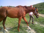 blogimage080803011.JPG